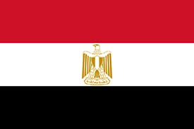 expat guide to egypt healthcare system