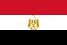 expat guide to egypt healthcare system